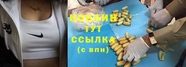 спиды Бородино